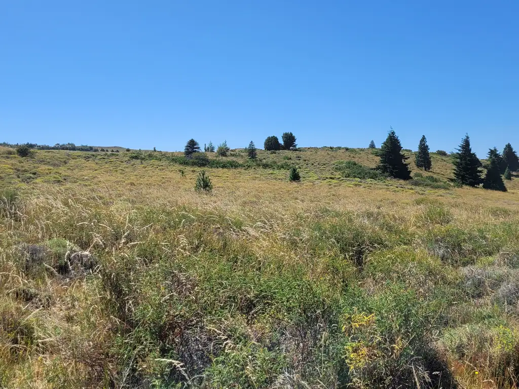 Foto de Lote de 1075 m2 con hermosas vistas en Lago Huechulafquen y al, imagen 2