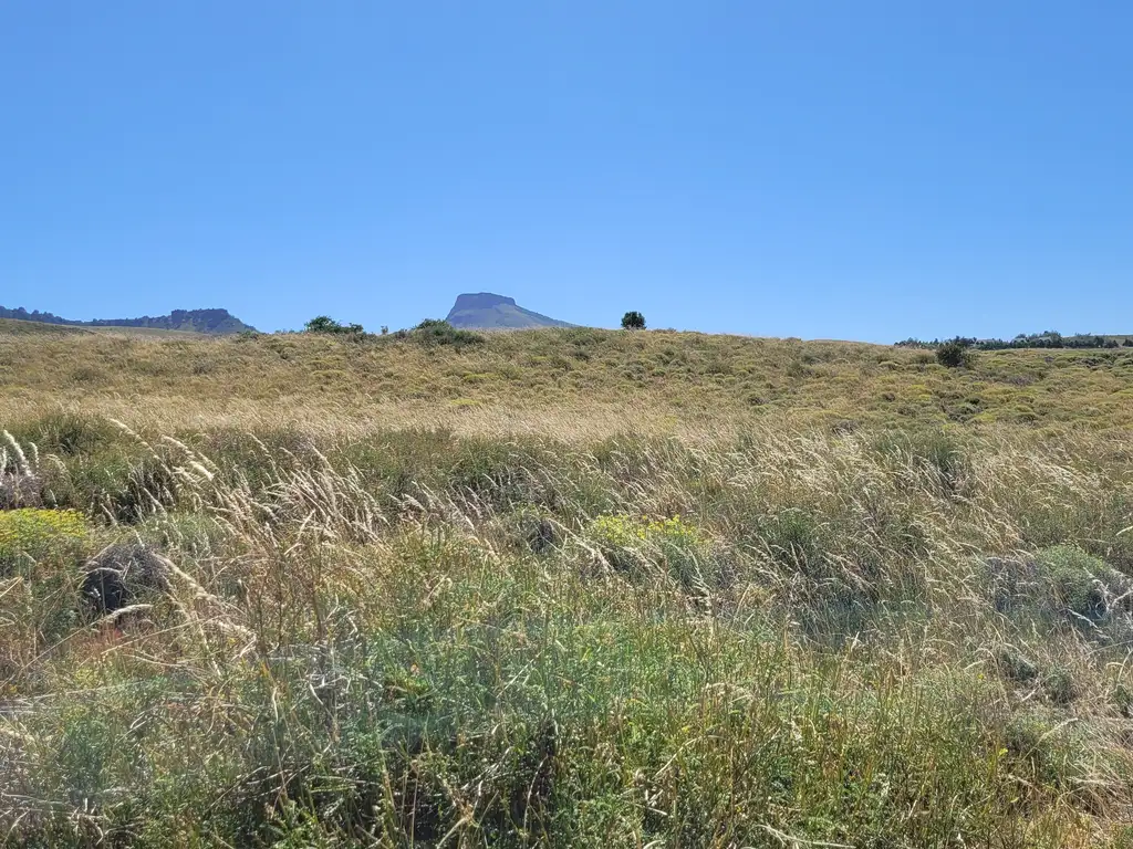 Foto de Lote de 1075 m2 con hermosas vistas en Lago Huechulafquen y al, imagen 5