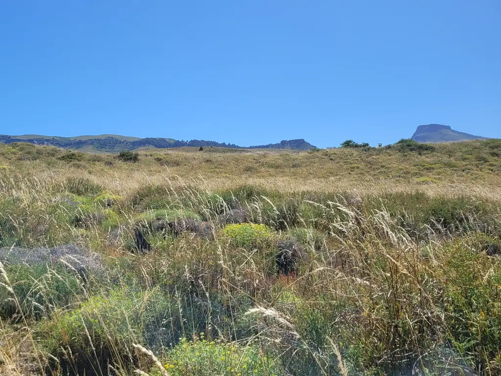Foto de Lote de 1075 m2 con hermosas vistas en Lago Huechulafquen y al, imagen 3