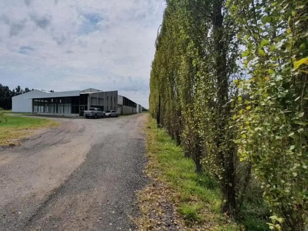 Foto de Venta o Alquiler de Dos Naves + Salón de ventas, imagen 5