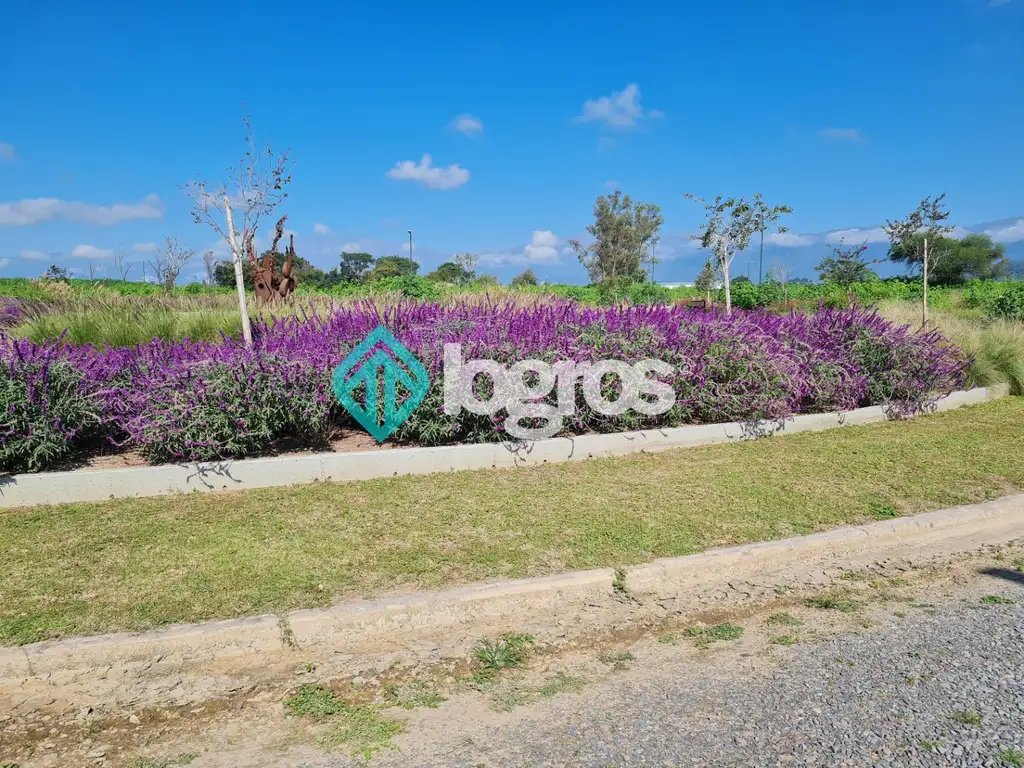 Foto de LOTES EN VENTA - FINANCIADOS - RECODO ETAPA 2 - zona Aeropuerto, Salta, imagen 2