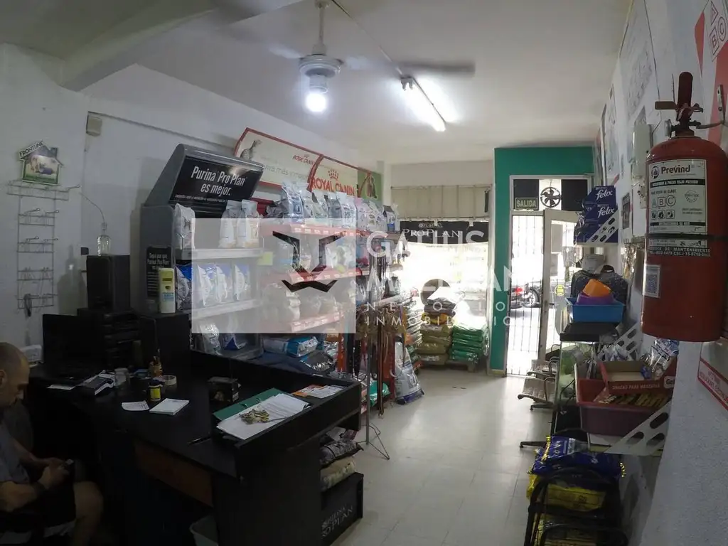 Foto de LOCAL CON RENTA, imagen 1