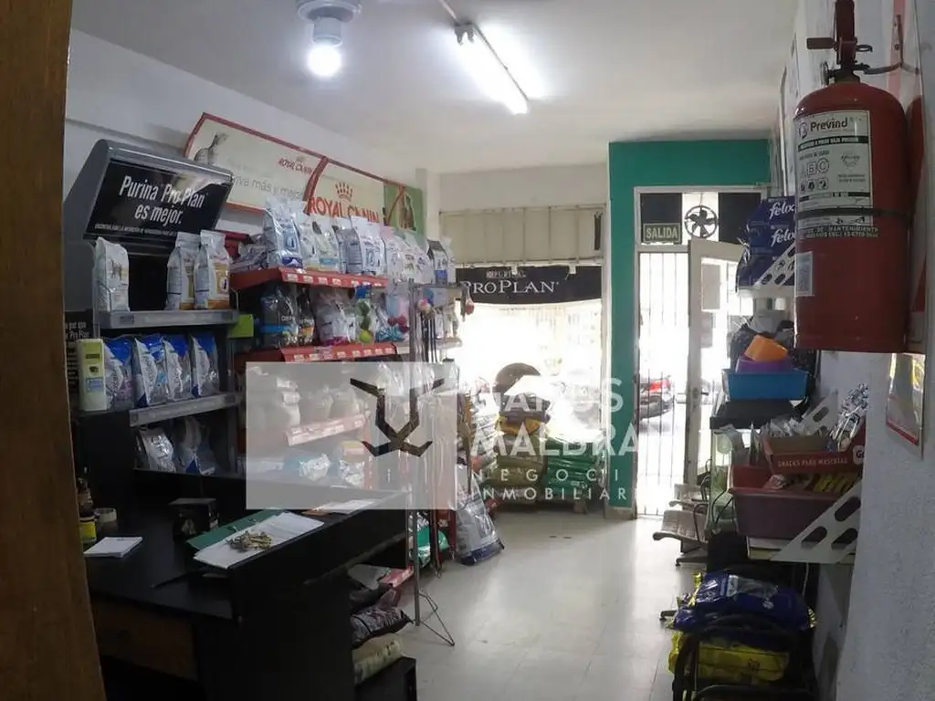 Foto de LOCAL CON RENTA, imagen 4