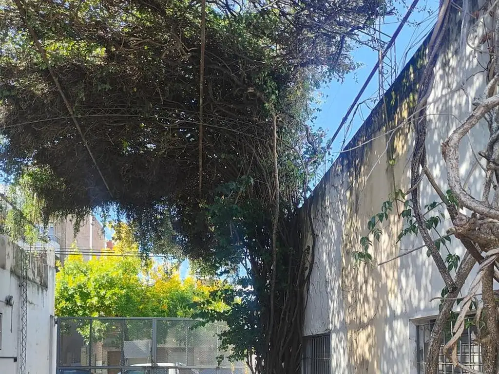 Foto de Galpón en Rosario, imagen 4