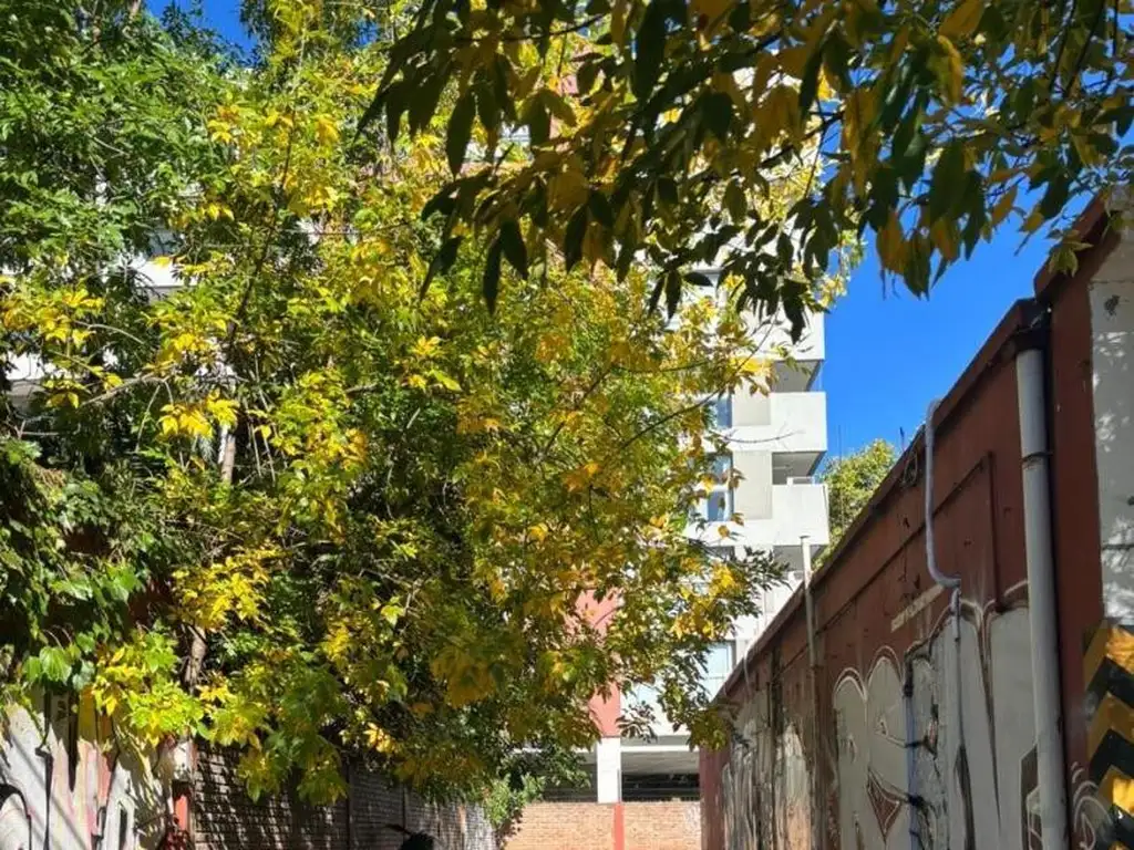 Foto de LOCAL EN ALQUILER ITUZAINGO SUR CENTRO, imagen 2
