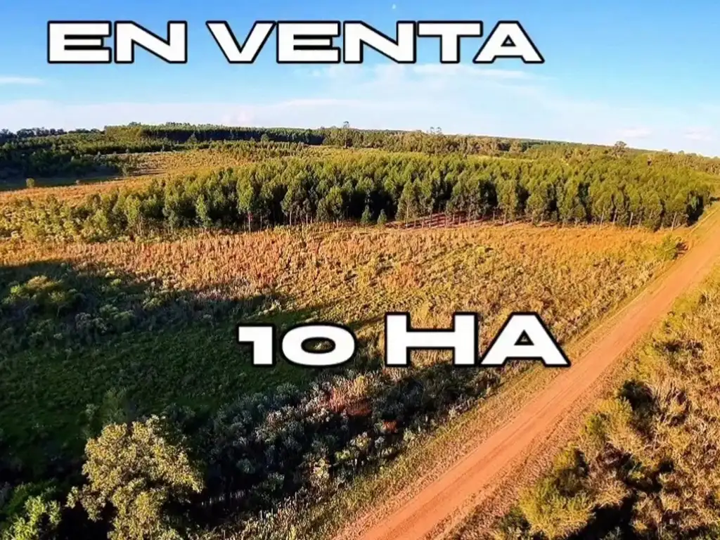 Foto de 10 hectáreas, 4 forestadas, imagen 1