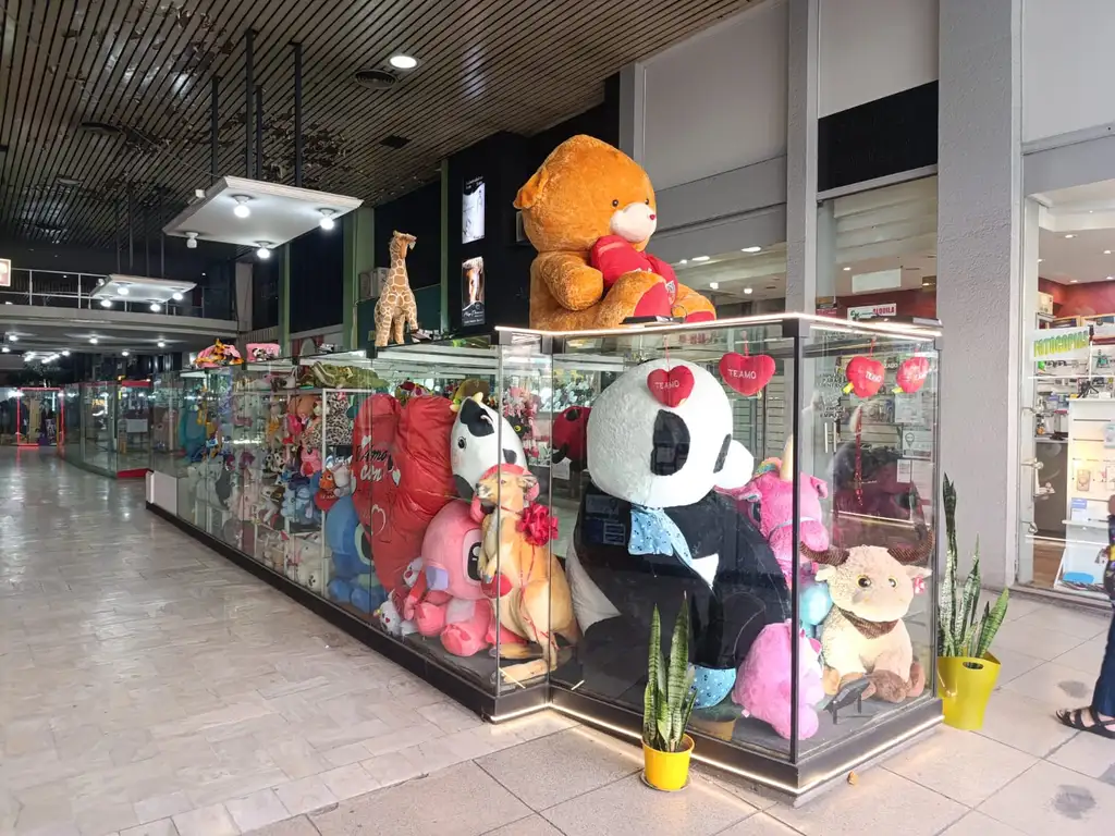 Foto de Local en alquiler en Galeria, imagen 2