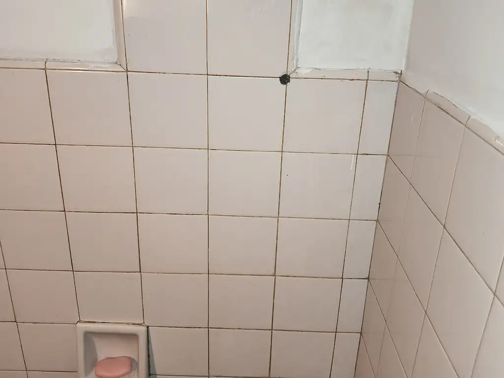 Foto de DEPARTAMENTO 1 AMBIENTE CON PATIO. ELIZALDE 46 PB "P" AVELLANEDA, imagen 4