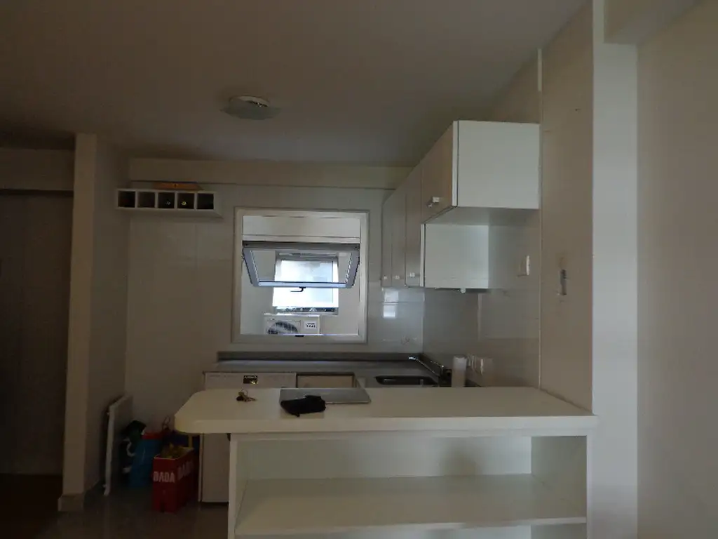 Foto de DEPARTAMENTO 1 AMBIENTE - PALERMO SOHO, CAPITAL FEDERAL, imagen 3