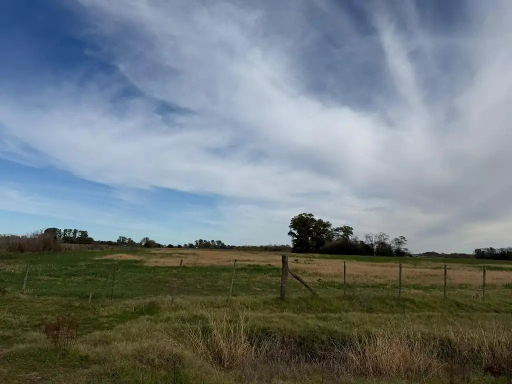 Foto de Campo - Venta - Argentina, Lobos, imagen 2