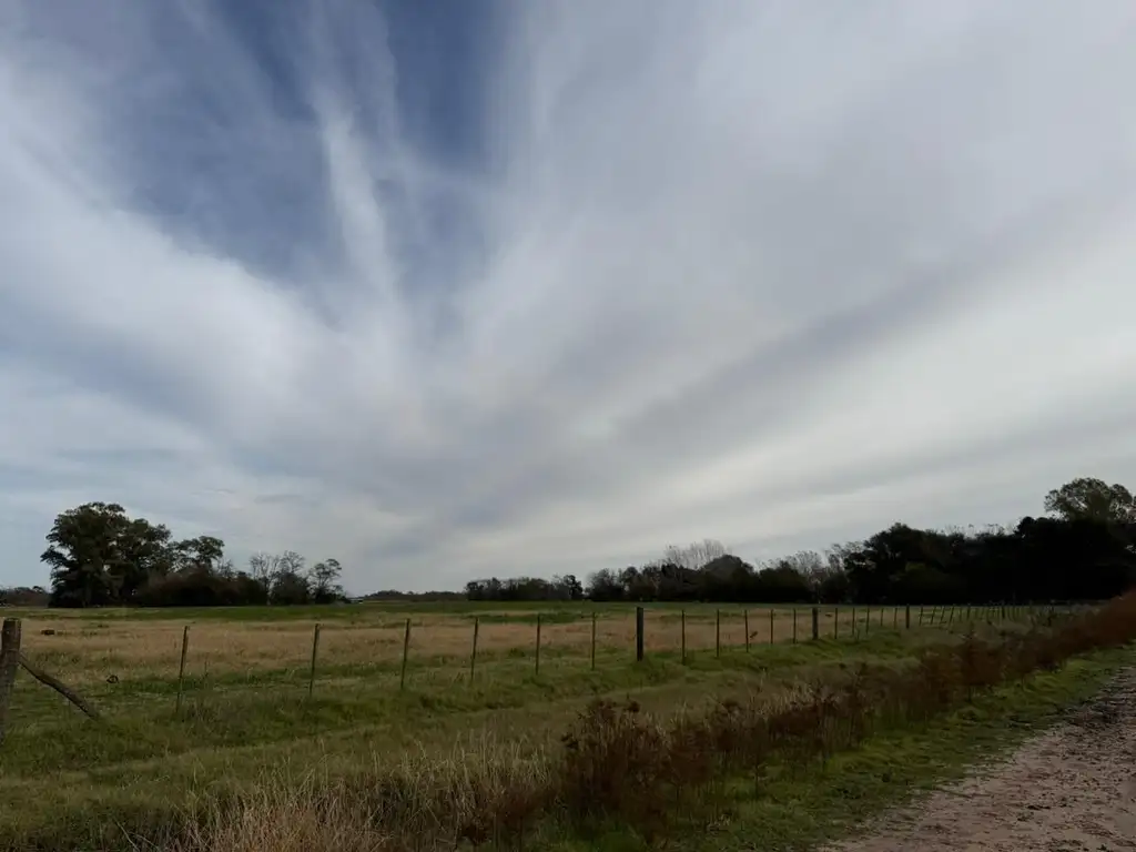 Foto de Campo - Venta - Argentina, Lobos, imagen 1
