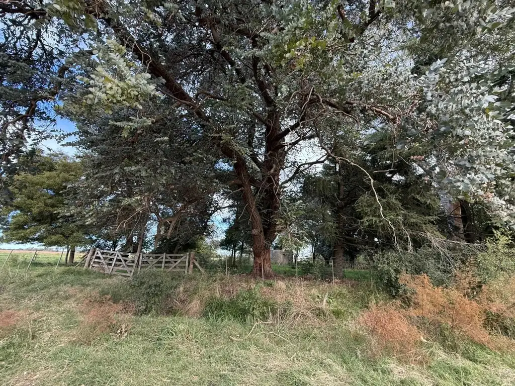 Foto de Campo - Venta - Argentina, Lobos, imagen 4