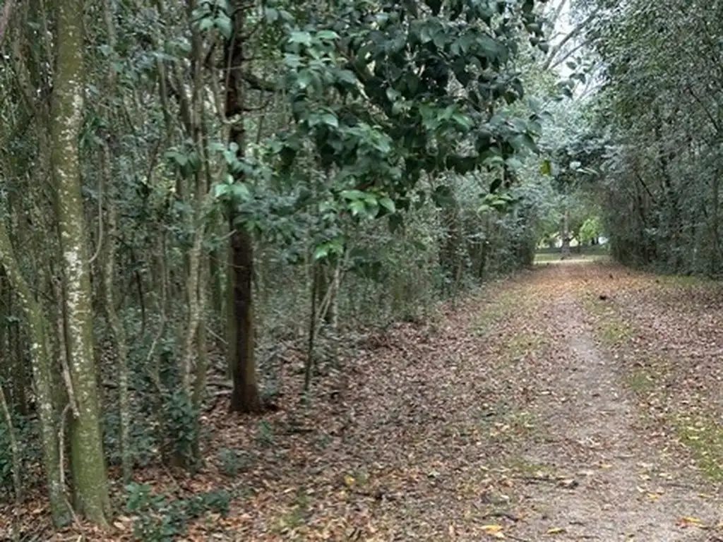 Foto de Alquilo Hermosa chacra de 9 ha, imagen 1