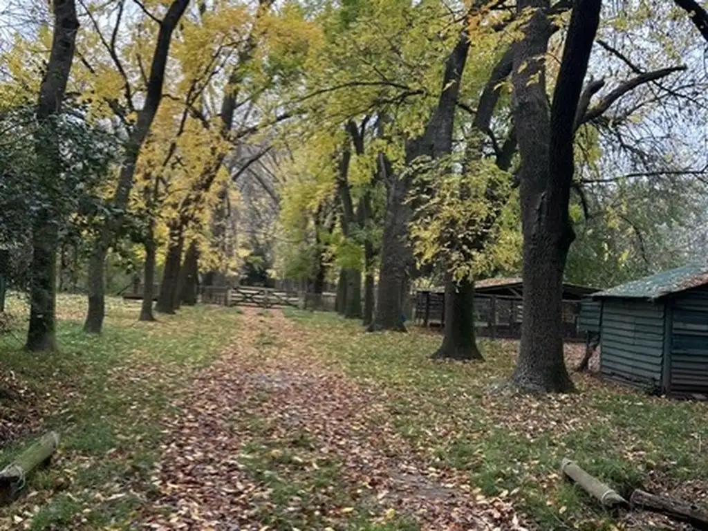 Foto de Alquilo Hermosa chacra de 9 ha, imagen 3