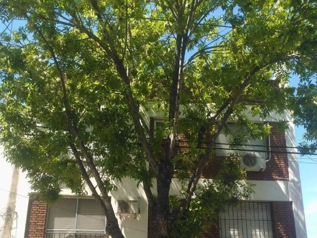 Foto de Hermoso Departamento de 3 Ambientes Muy Luminoso con Balcón, imagen 3