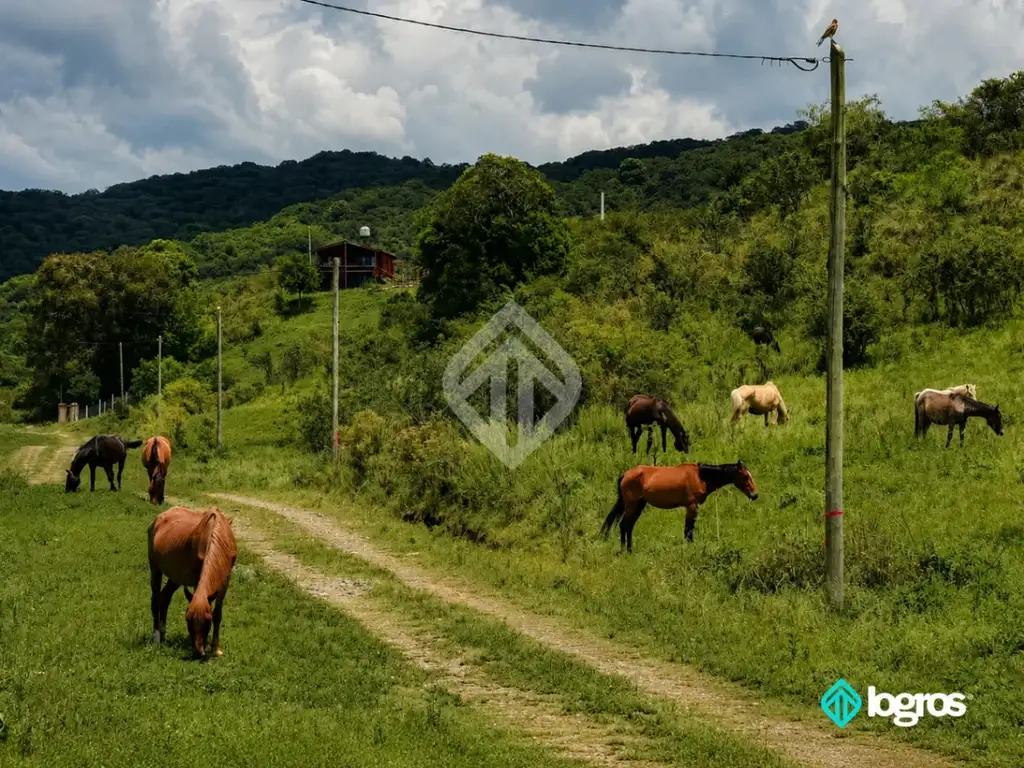 Foto de Lotes en venta de 1000 m2 ubicados en Campo Alegre | La Caldera | Salta, imagen 4