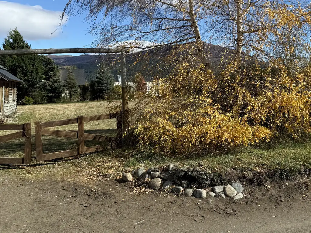 Foto de FINA PATAGONIA. Lote en venta de 1250m2 ubicado en Junín de los Andes, imagen 5