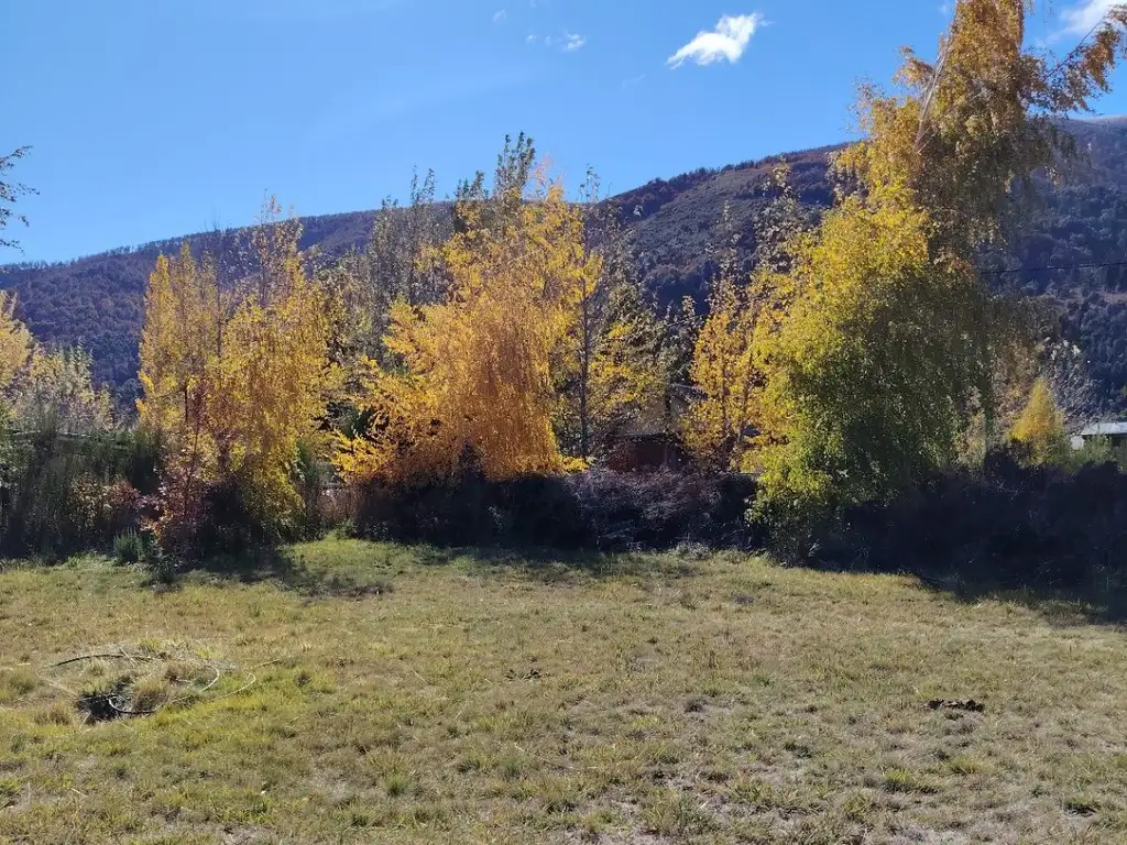 Foto de FINA PATAGONIA. Lote en venta de 1250m2 ubicado en Junín de los Andes, imagen 4