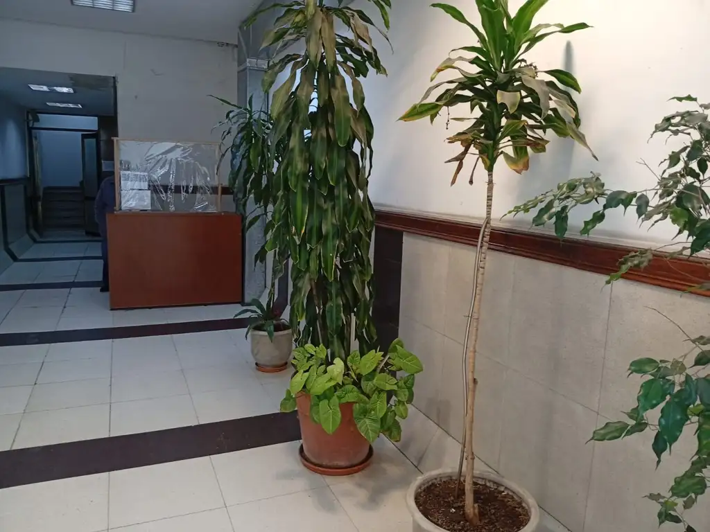 Foto de Excelente oportunidad de Departamento en la zona de Monserrat., imagen 3