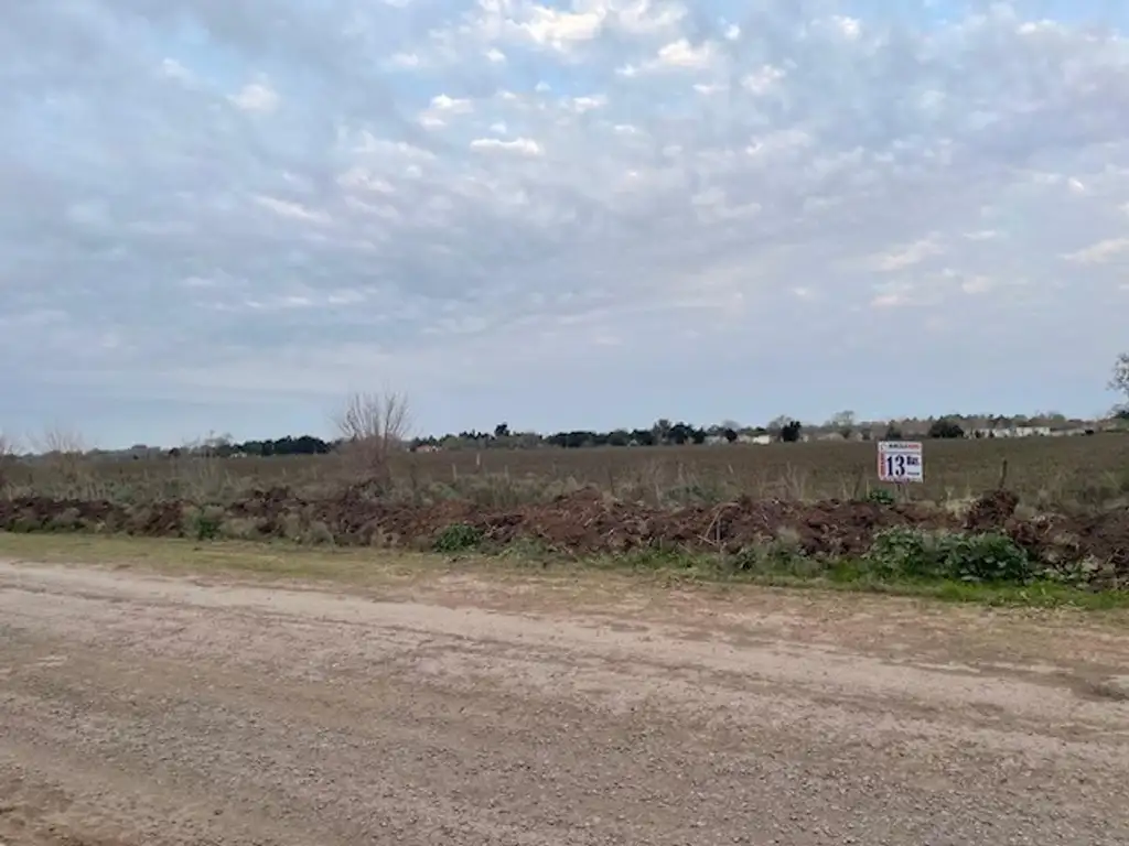 Foto de Campo de 13 has excelente ubicación., imagen 4