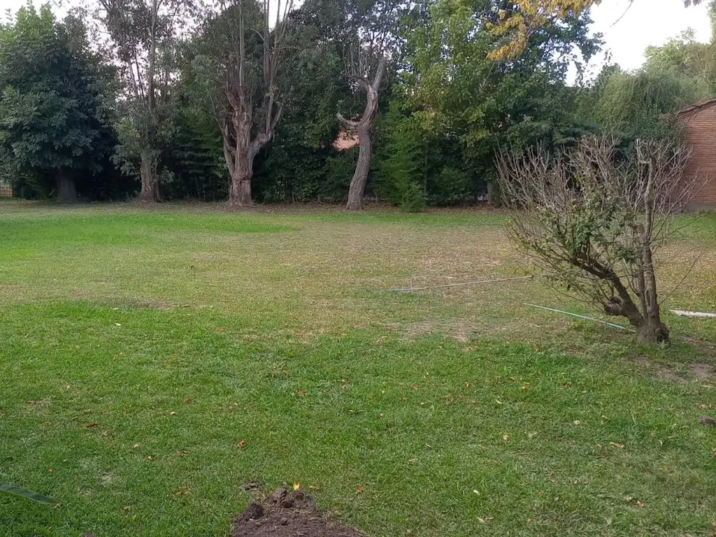 Foto de La Celia casa alquiler 3 amb c/dep parque 40x40 piscina, imagen 5