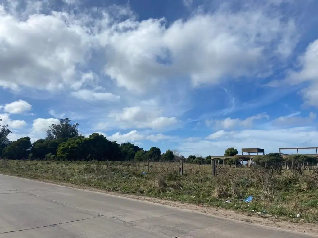 Foto de 15 Hectáreas sobre Av. Antártida Argentina, imagen 3