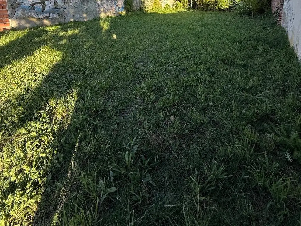 Foto de Terreno en Barrio Lopez Gomara, imagen 2