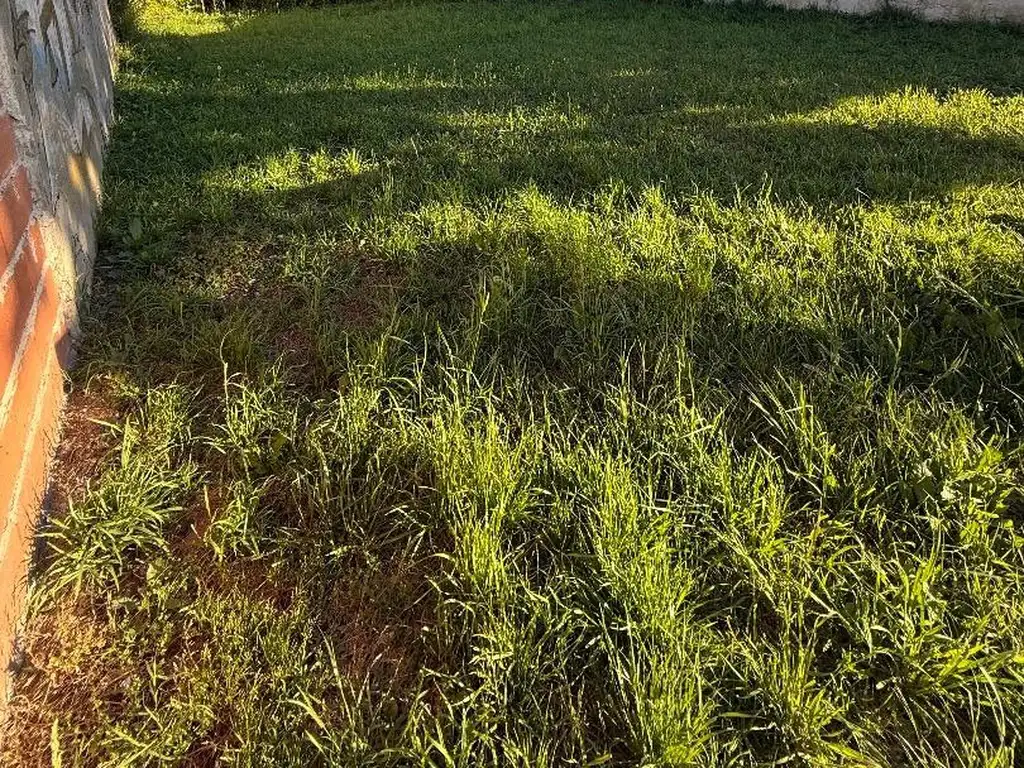 Foto de Terreno en Barrio Lopez Gomara, imagen 5