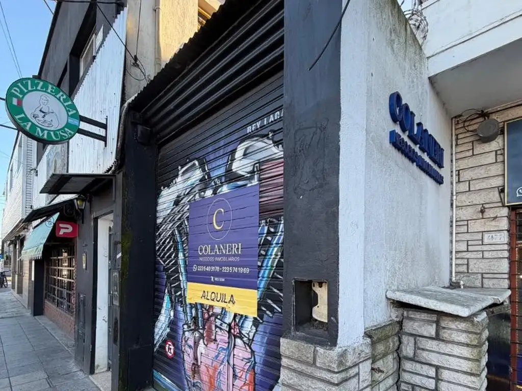 Foto de Depósito en alquiler sobre Av. Constitución con oficina, imagen 1