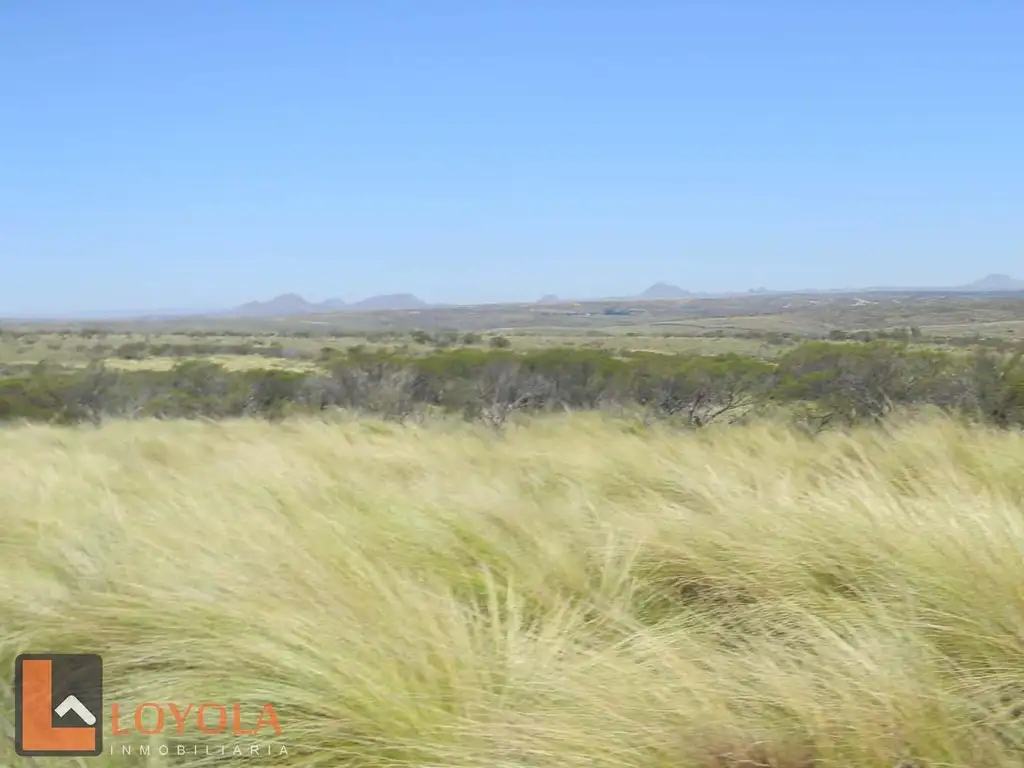 Foto de Campo en venta a 2000m de la Ruta 41, Las Chacras San Luis, imagen 3