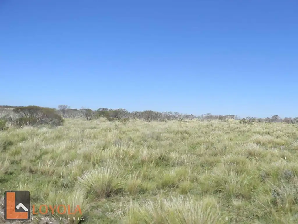 Foto de Campo en venta a 2000m de la Ruta 41, Las Chacras San Luis, imagen 2
