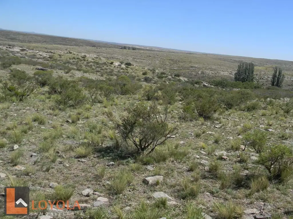 Foto de Campo en venta a 2000m de la Ruta 41, Las Chacras San Luis, imagen 5