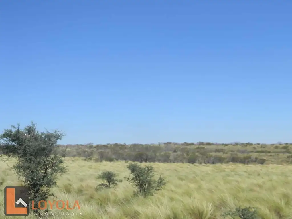 Foto de Campo en venta a 2000m de la Ruta 41, Las Chacras San Luis, imagen 4
