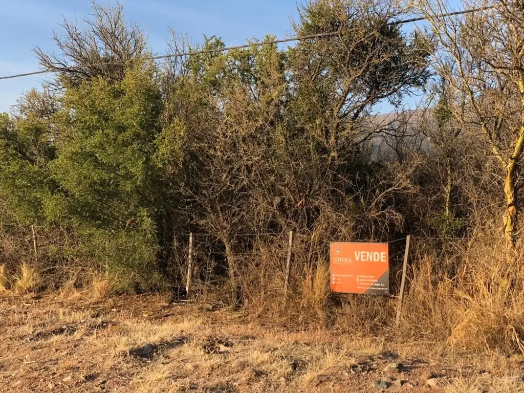 Foto de Importante fracción de 9250m2, imagen 2