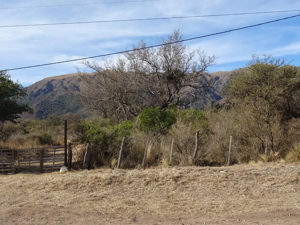 Foto de Importante fracción de 9250m2, imagen 3