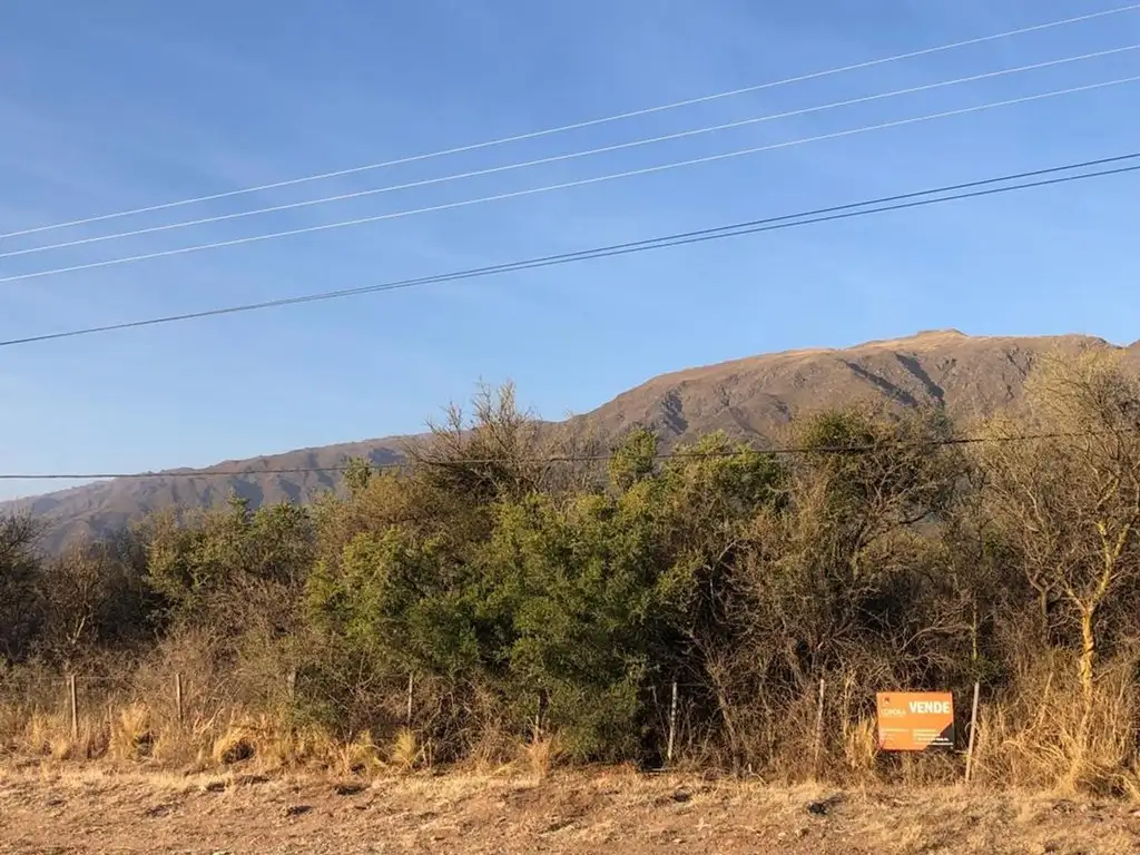 Foto de Importante fracción de 9250m2, imagen 1