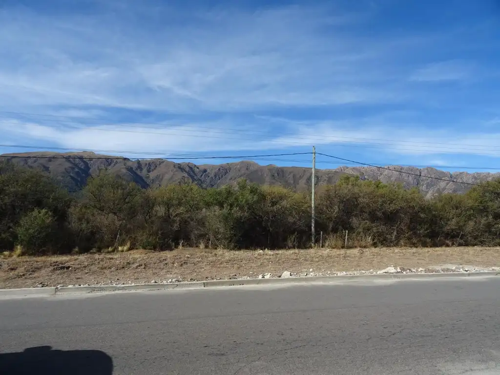 Foto de Importante fracción de 9250m2, imagen 5