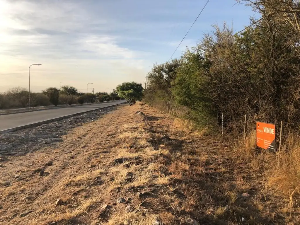 Foto de Importante fracción de 9250m2, imagen 4