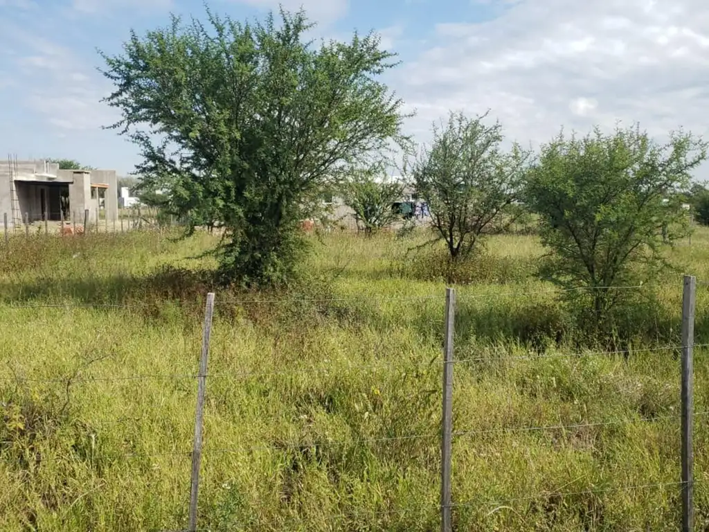 Foto de Lote de 500 m2 en Estación Conlara, alambrado., imagen 5