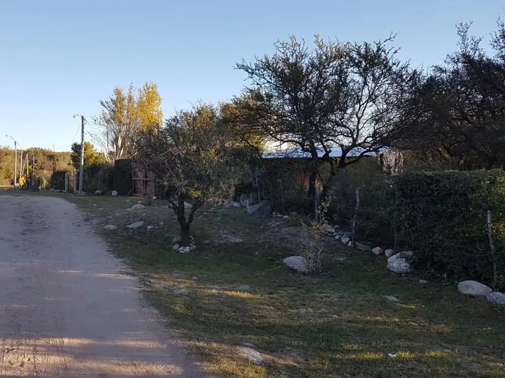 Foto de Lote 6.000 m2. Arroyo Benítez, Cortaderas, imagen 2