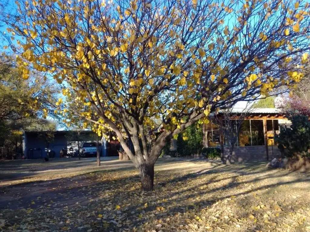 Foto de CASA MAS LOCAL SOBRE AVDA. SANTA ROSA DEL CONLARA.VENTA, imagen 5
