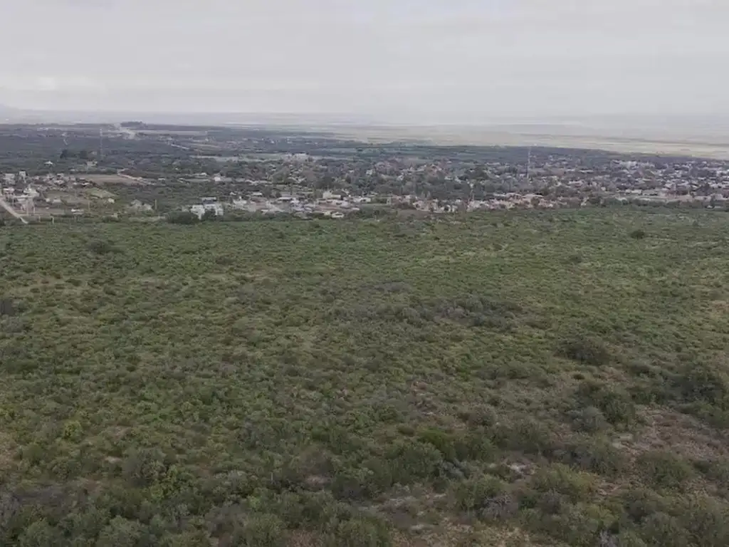 Foto de 4.18 Hectáreas en Villa Larca SL, imagen 4