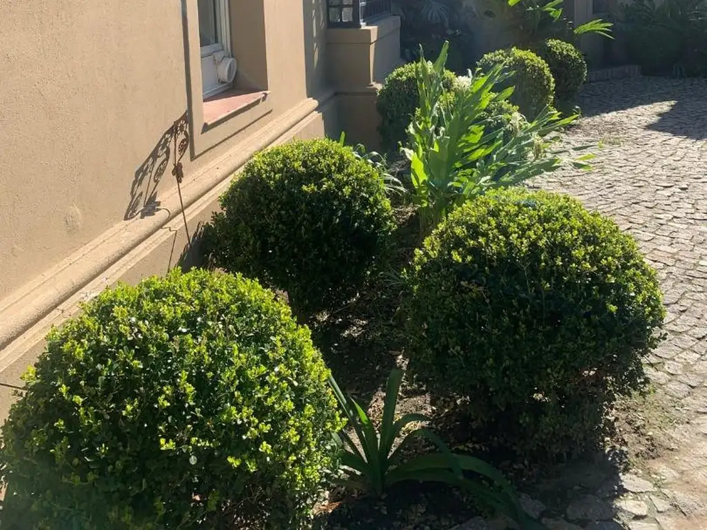 Foto de CASA EN ALQUILER EN MANUEL ALBERTI, imagen 4
