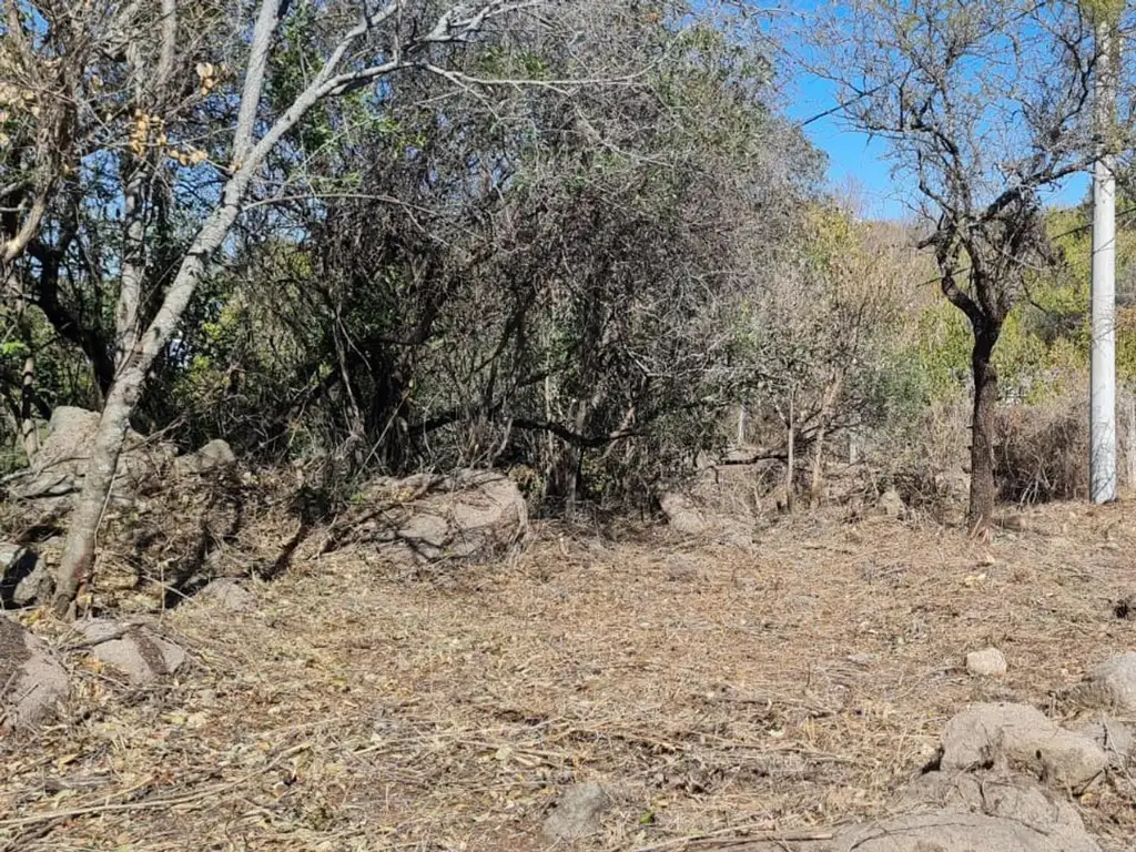 Foto de VENDO LOTE EN AGUA DE ORO PRADO DE LA RIVERA, imagen 1