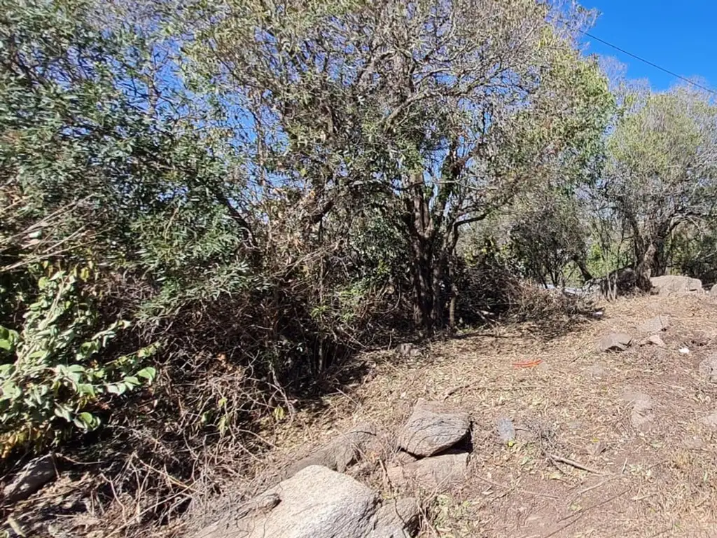 Foto de VENDO LOTE EN AGUA DE ORO PRADO DE LA RIVERA, imagen 3