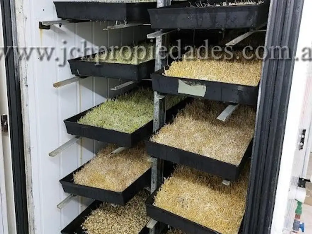 Foto de Fondo de comercio “Brotes y micro vegetales gastronómicos”, imagen 1