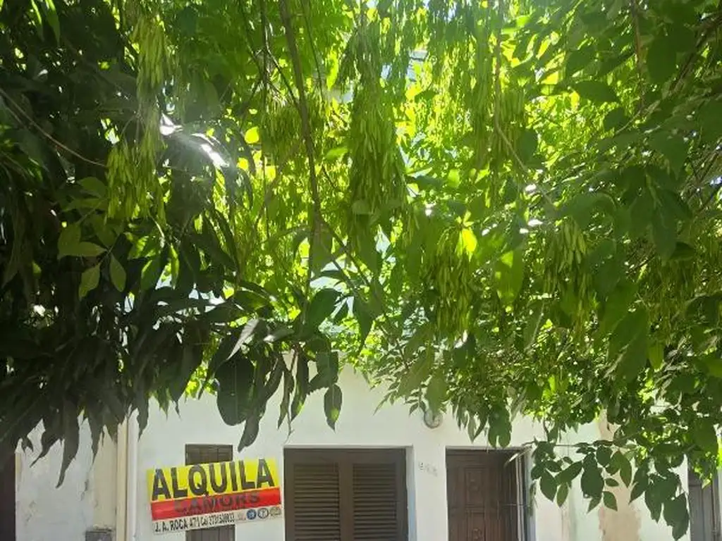 Foto de CAMORS ALQUILA, imagen 4
