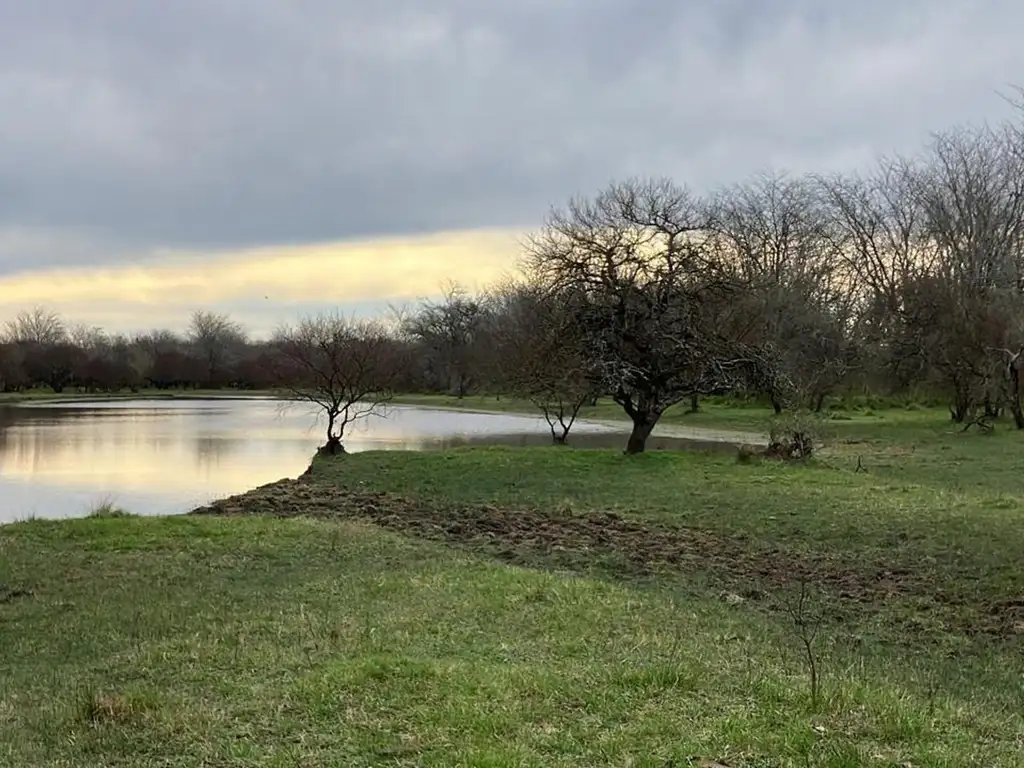 Foto de Campo ganadero en Don Cristobal, imagen 1