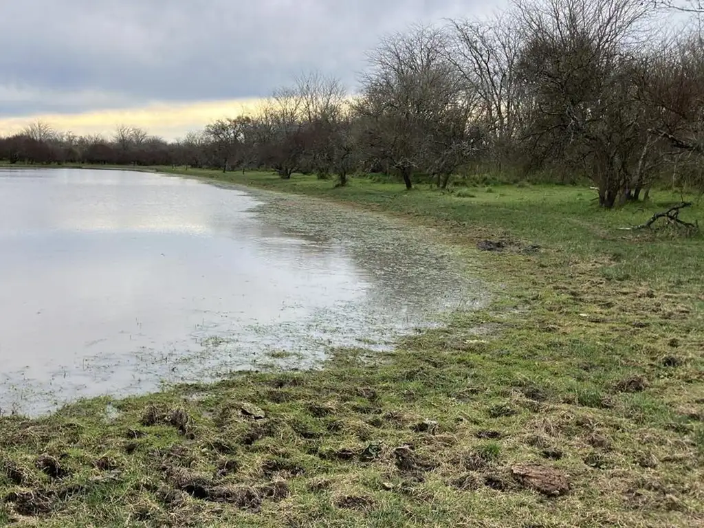 Foto de Campo ganadero en Don Cristobal, imagen 2