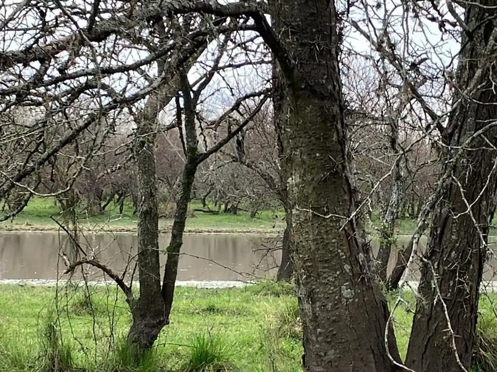 Foto de Campo ganadero en Don Cristobal, imagen 3